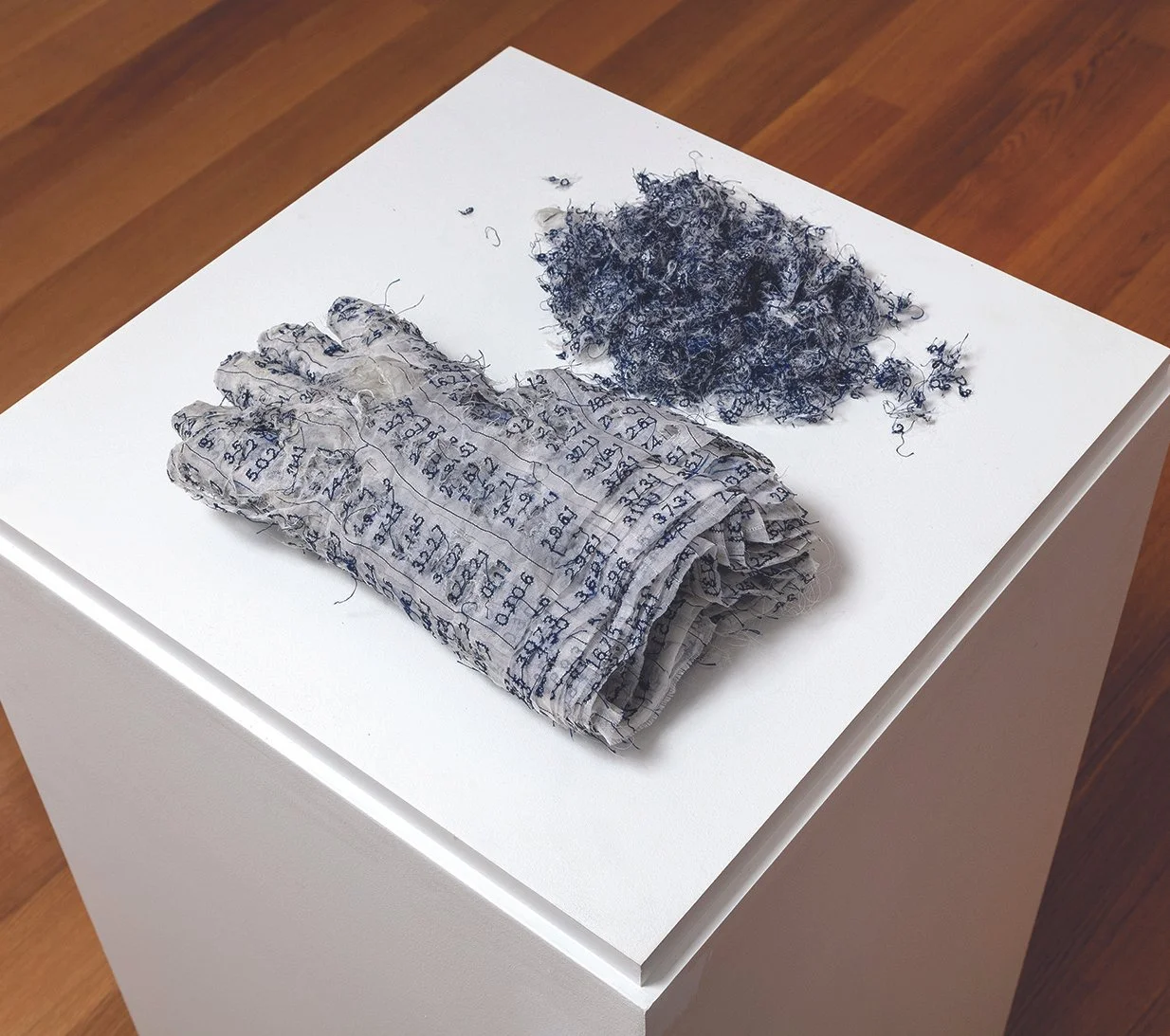 Ann Hamilton — THE ART WHISPERER